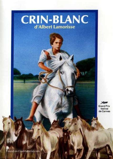 crin blanc le cheval sauvage|More.